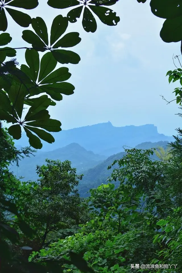 都江堰赵公山 成都出发爬山露营 自驾 懂车帝