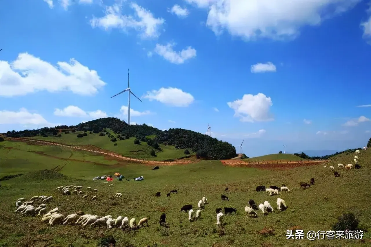 诗和远方的门票只要5块,宾川乌龙坝草甸,云南大理旅游自驾摄影