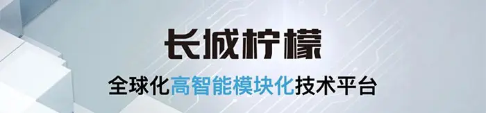 动力更强、设计更野，最高续航480公里，试驾欧拉好猫GT木兰版插图10